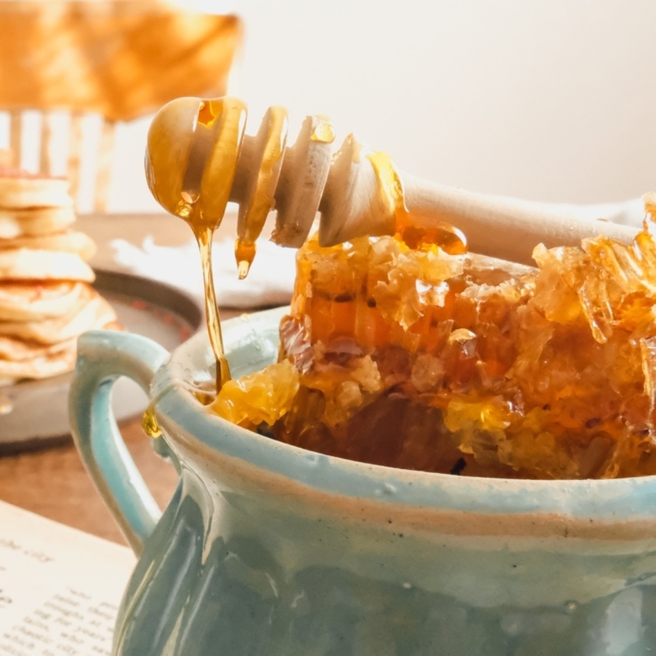 Why Do Bees Make Honey? (Spoiler Alert: It's Not for Humans) 